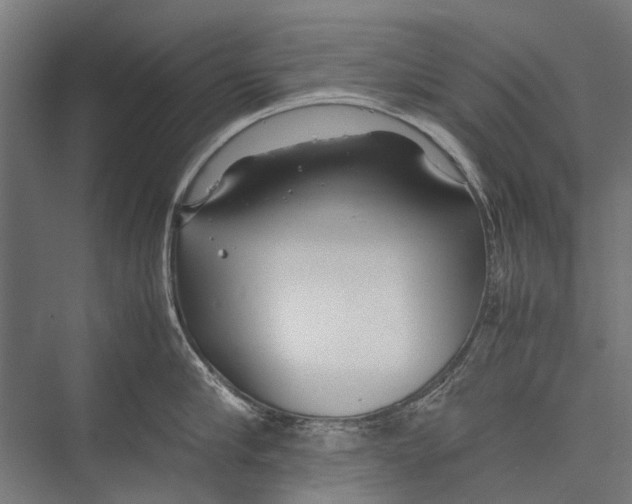 X0000075360910200610061743