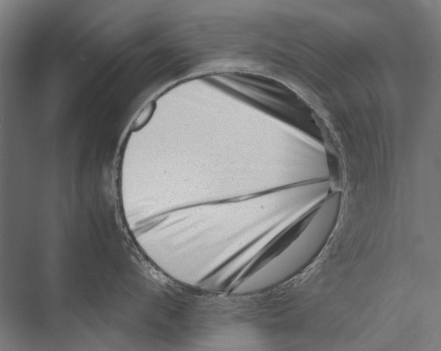 X0000075360912200610061743