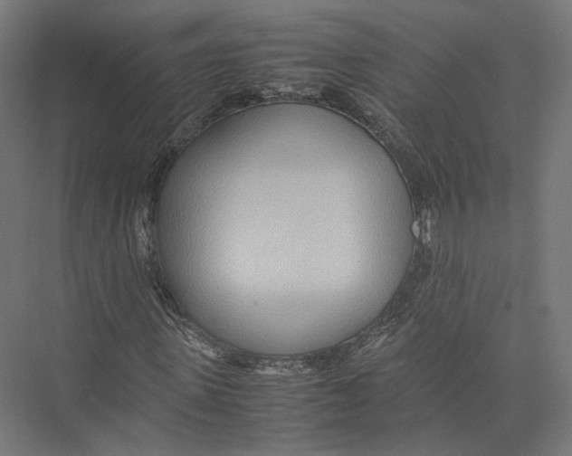 X0000075360915200610061743