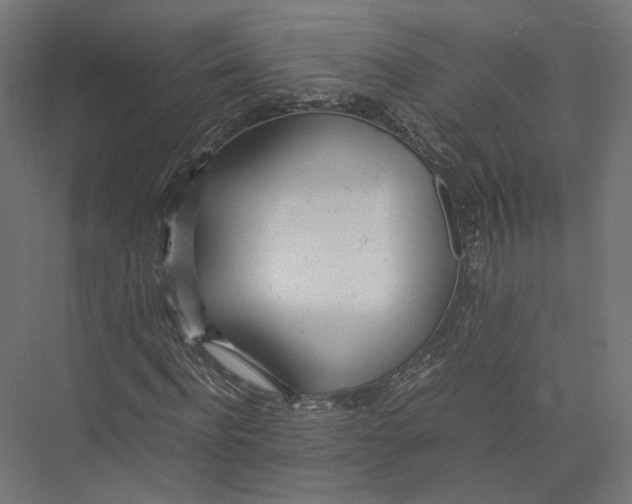 X0000075360916200610061743