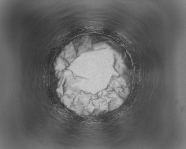 X0000075360917200610061743