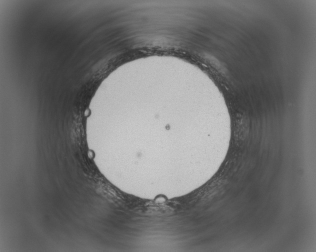 X0000075360918200610061743