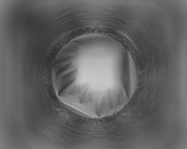 X0000075360919200610061743