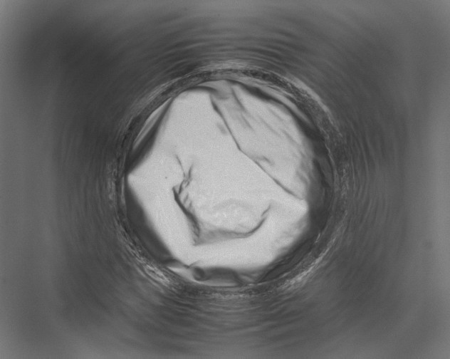 X0000075360921200610061743