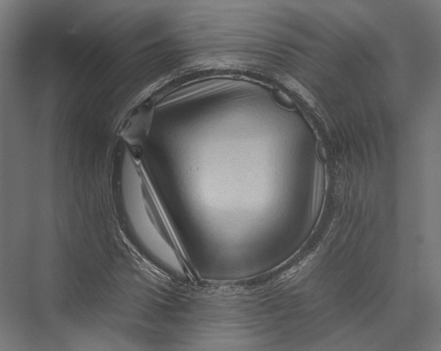 X0000075360922200610061743