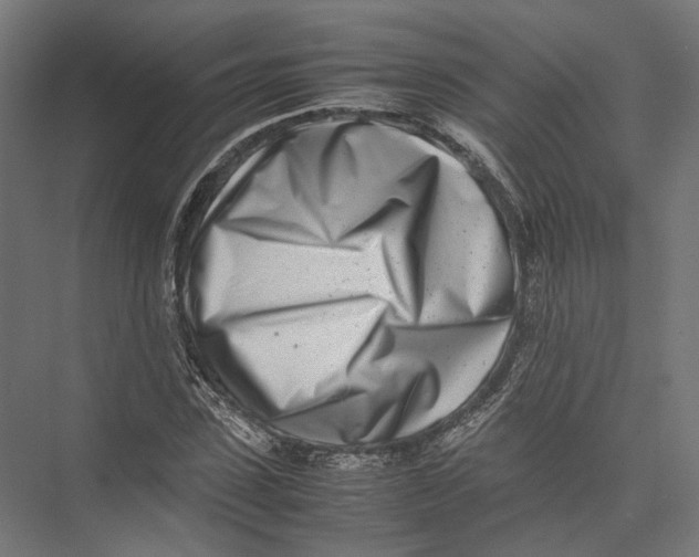 X0000075360923200610061743