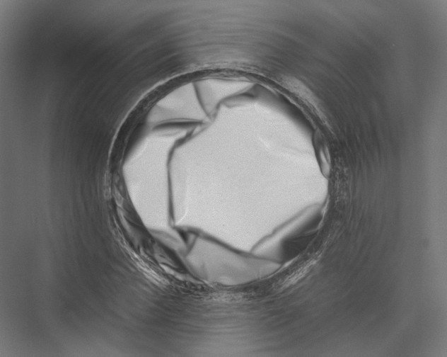 X0000075360924200610061743