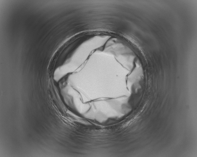 X0000075360925200610061743