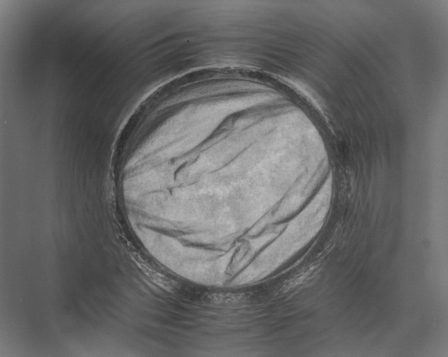 X0000075360927200610061743