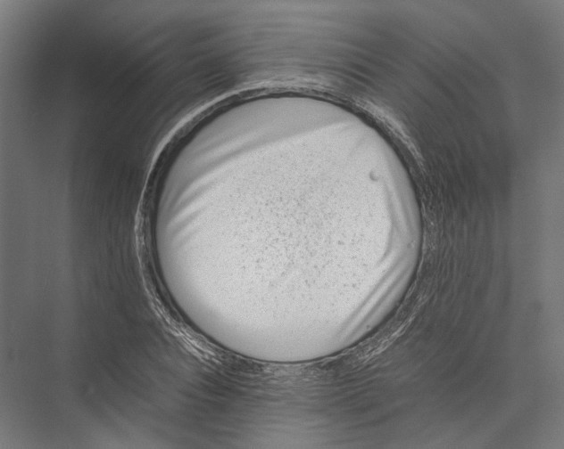 X0000075360928200610061743