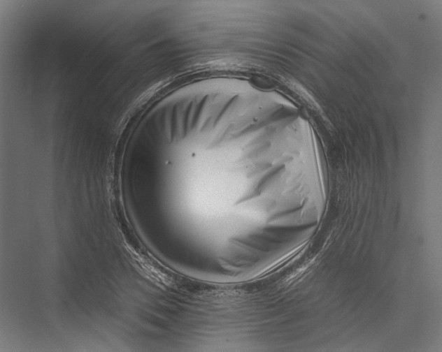 X0000075360930200610061743