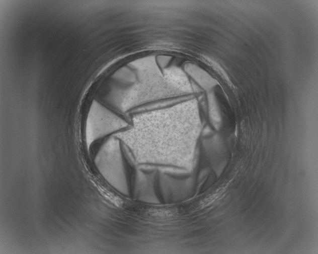 X0000075360931200610061743