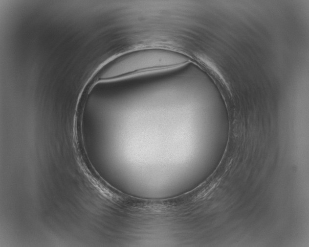 X0000075360932200610061743