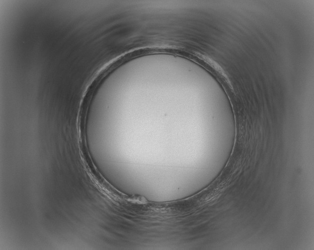 X0000075360935200610061743