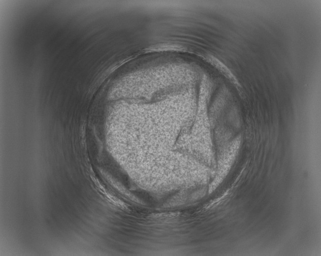 X0000075360937200610061743