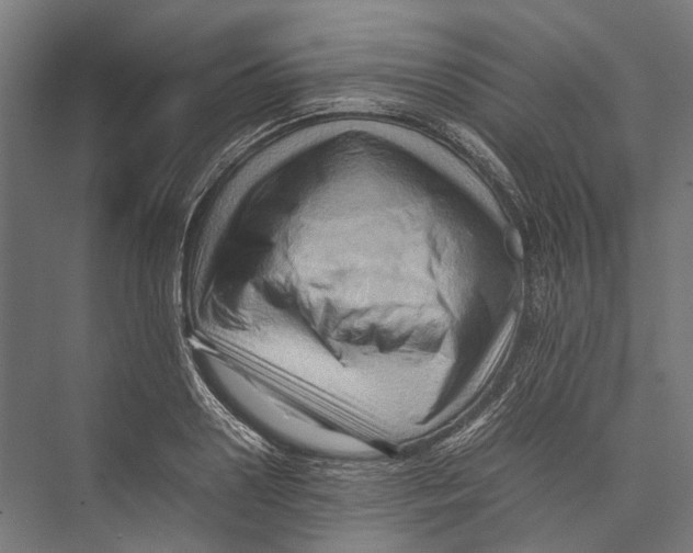 X0000075360938200610061743