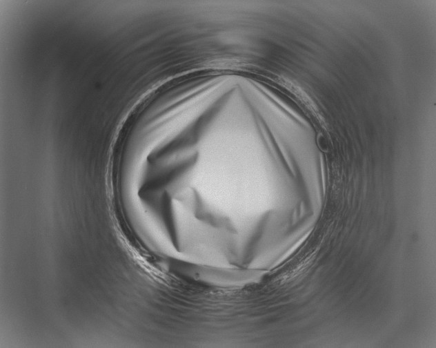 X0000075360939200610061743