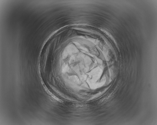 X0000075360941200610061743