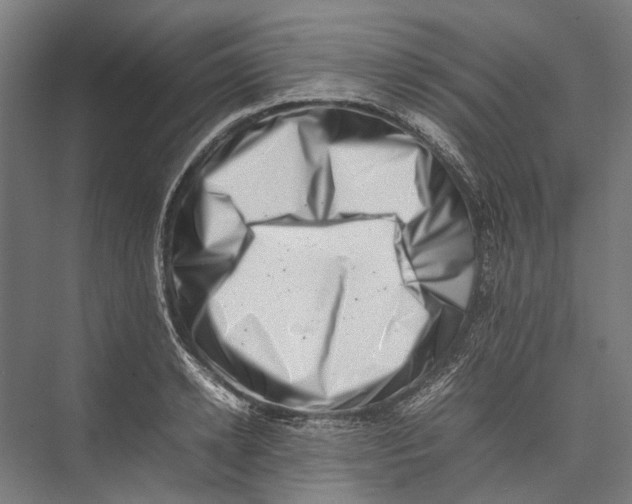 X0000075360942200610061743