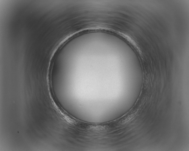 X0000075360943200610061743