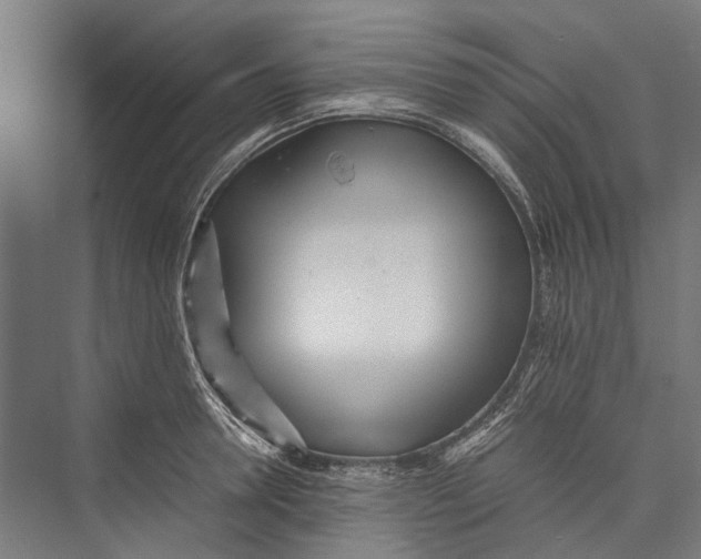 X0000075360946200610061743