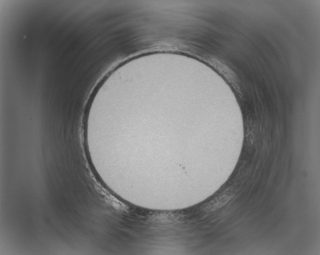 X0000075360950200610061743