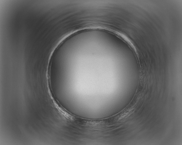 X0000075360951200610061743