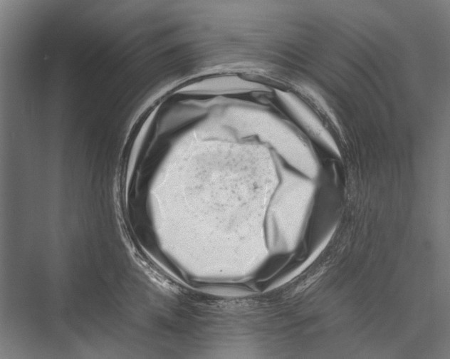 X0000075360952200610061743