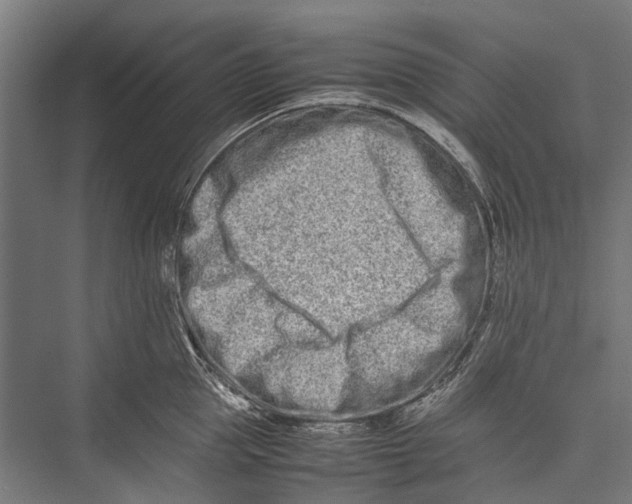 X0000075360953200610061743