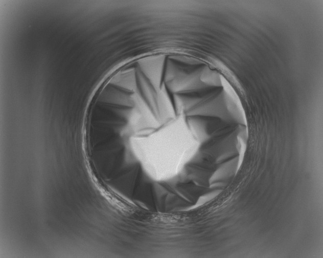 X0000075360955200610061743