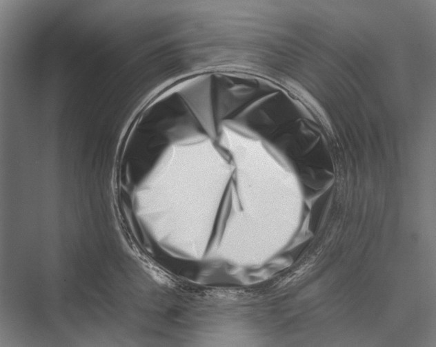 X0000075360956200610061743