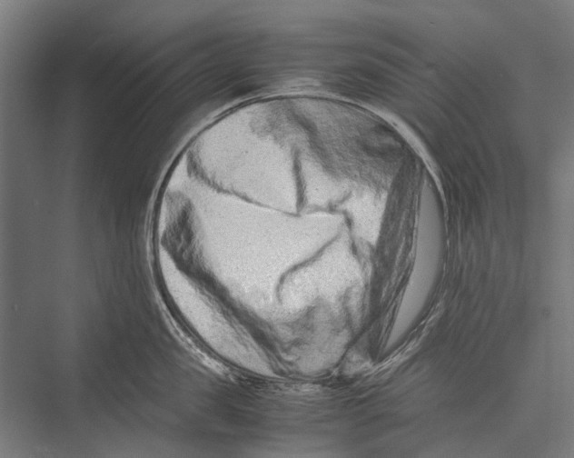 X0000075360957200610061743