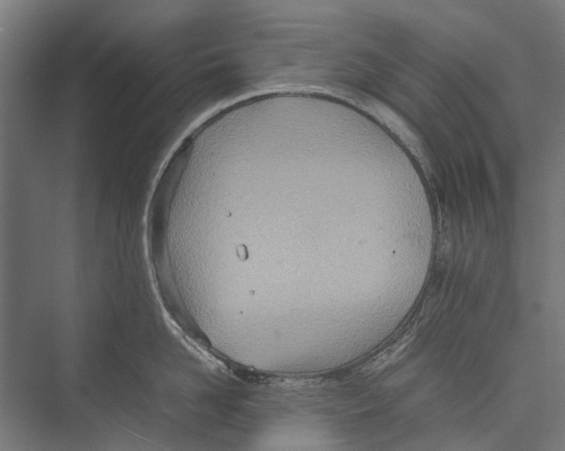 X0000075360958200610061743