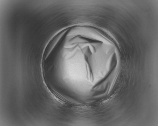 X0000075360959200610061743