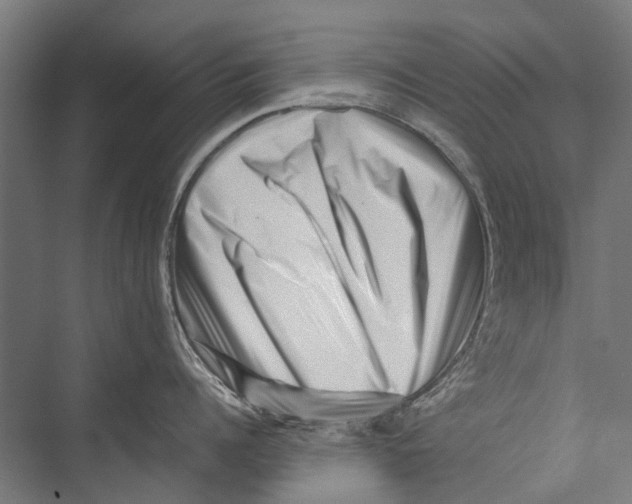 X0000075360960200610061743