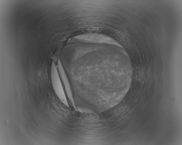 X0000075360962200610061742