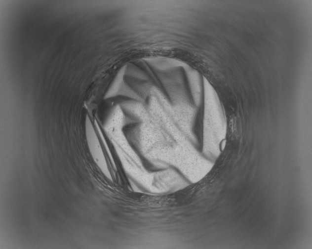 X0000075360963200610061742