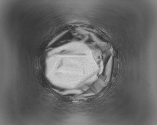 X0000075360965200610061742