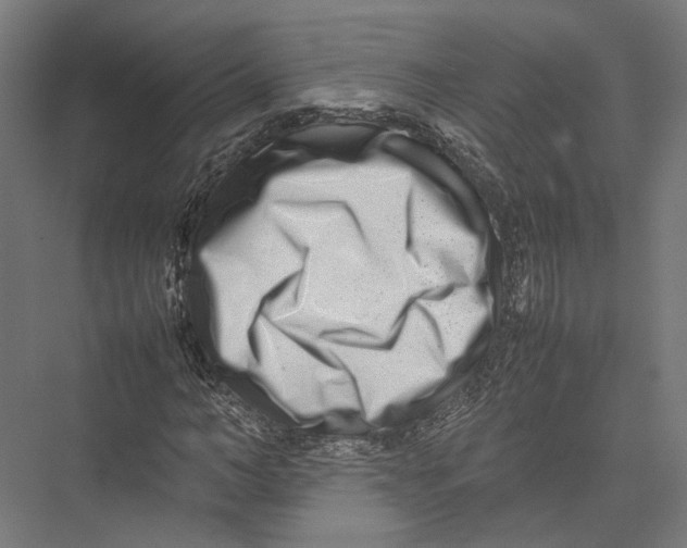 X0000075360966200610061742