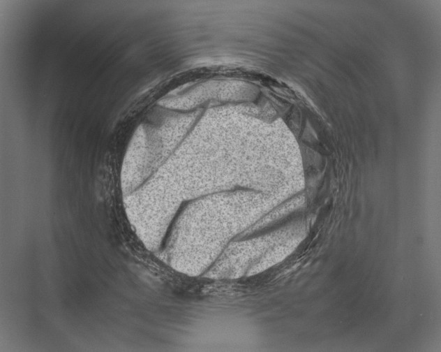 X0000075360967200610061742