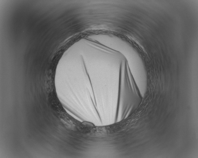 X0000075360968200610061742