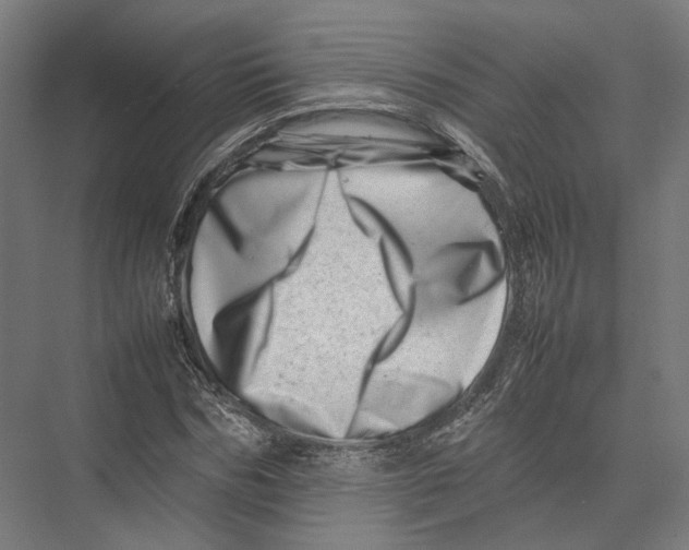 X0000075360970200610061742