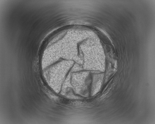 X0000075360971200610061742