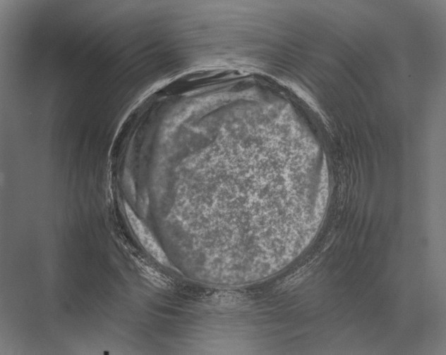 X0000075360974200610061742