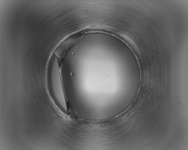 X0000075360976200610061742