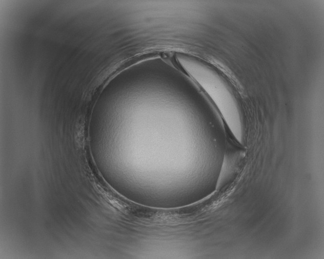 X0000075360977200610061742