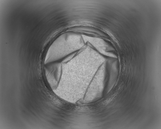 X0000075360978200610061742