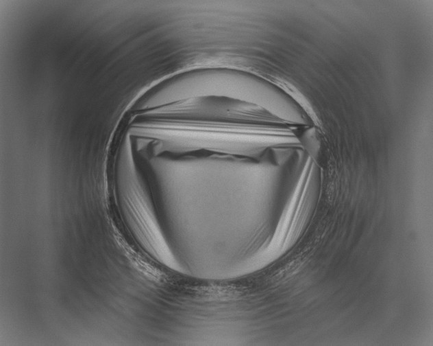 X0000075360980200610061742