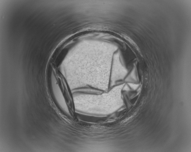 X0000075360981200610061742