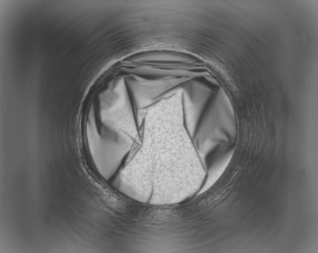 X0000075360982200610061742